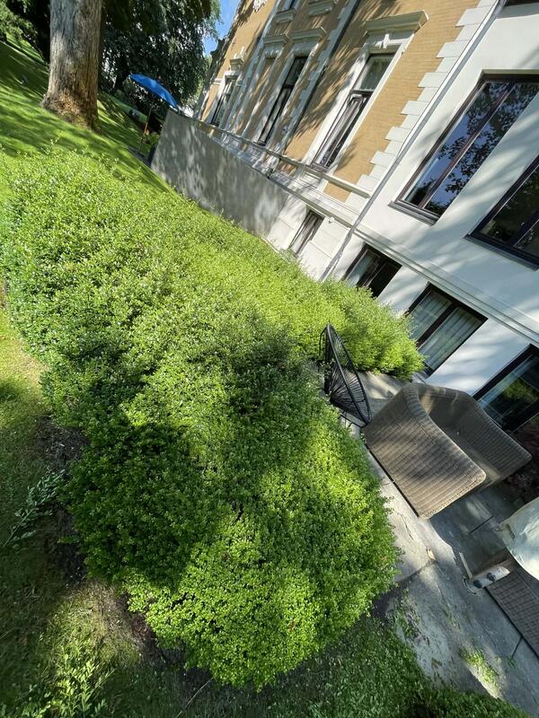 Garten vor der Pflege Hamburg